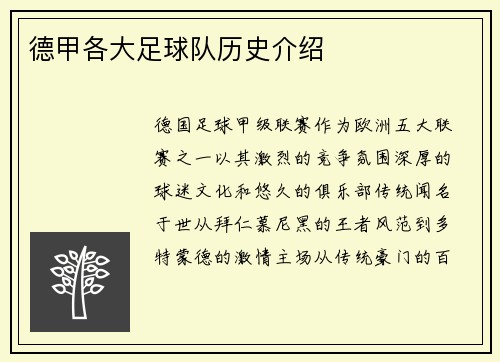 德甲各大足球队历史介绍